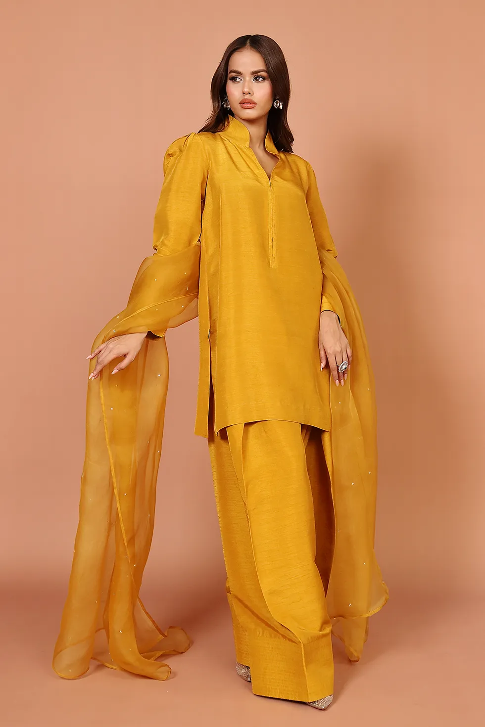 Farshi Shalwar outfitt - Image 12